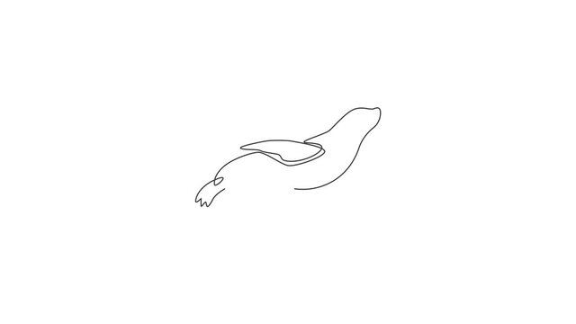 Animated self drawing of continuous line draw wild sea lion for marine company logo identity. Cute ocean mammal animal mascot concept for environment organization. Full length single line animation.