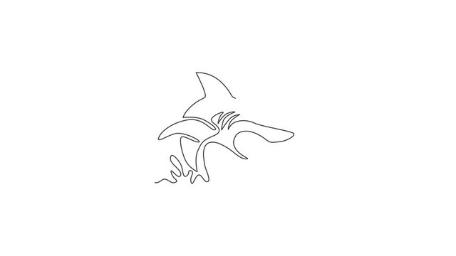 Animation of one line drawing of ruler of the sea, shark for company logo. Dangerous sea fish concept for ocean nature peace organization mascot. Continuous line self draw animated. Full length motion
