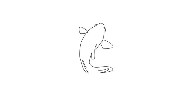 Animated self drawing of one continuous line draw beauty cute koi fish for aquarium farm logo identity. Japanese typical carp beautiful fish icon concept. Full length single line animation.