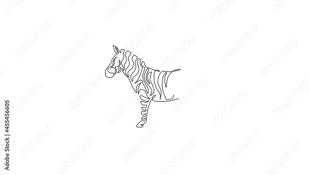 Poster animated self drawing of single continuous line draw elegant zebra company logo identity. horse with