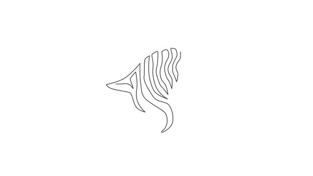 Animation of one line drawing of zebra head for national park zoo safari logo. Typical horse from Africa with stripes concept for kids mascot. Continuous line self draw animated. Full length motion.