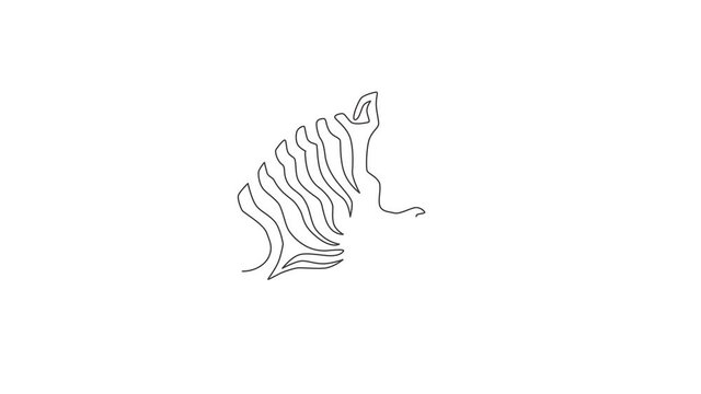 Animated self drawing of one continuous line draw zebra head for zoo safari national park logo. Typical horse from Africa with stripes concept for company mascot. Full length single line animation.