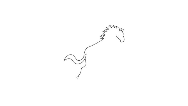 Animated self drawing of single continuous line draw jumping elegant horse company logo identity. Strong mustang mammal animal icon concept. Full length one line animation illustration.