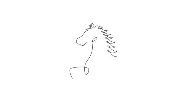 Animated self drawing of single continuous line draw jumping elegant horse company logo identity. Strong mustang head mammal animal icon concept. Full length one line animation illustration.