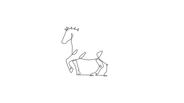 Animated self drawing of one continuous line draw wild luxury horse corporation logo identity. Equine fast and strong mammal animal symbol concept. Full length single line animation illustration.