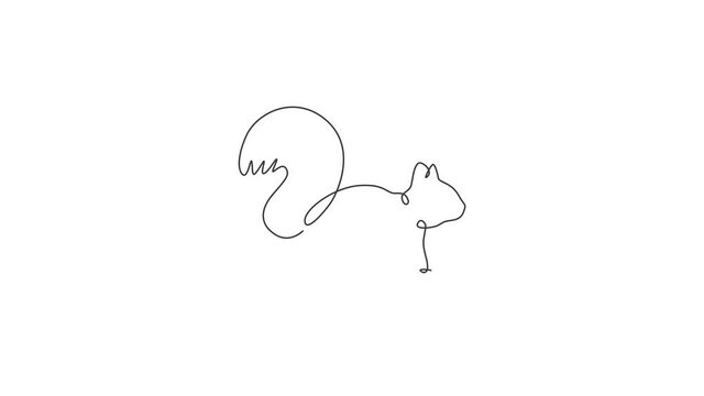 Animation of one line drawing of cute squirrel for company logo identity. Business corporation icon concept from funny rodent animal shape. Continuous line self draw animated. Full length motion.
