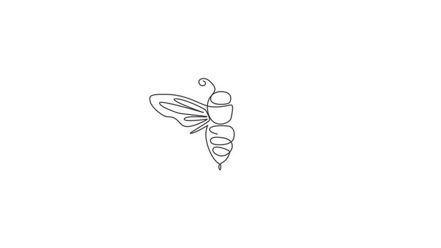 Animated self drawing of single continuous line drawing of decorative bee for farm logo identity. Honeycomb producer icon concept from wasp animal shape. Full length one line animation illustration.
