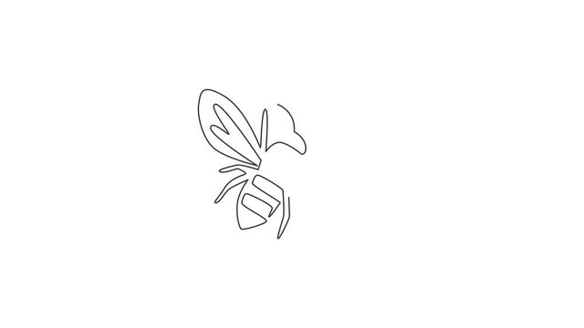 Animated self drawing of of single continuous line draw decorative bee for farm logo identity. Honeycomb producer icon concept from wasp animal shape. Full length one line animation illustration.