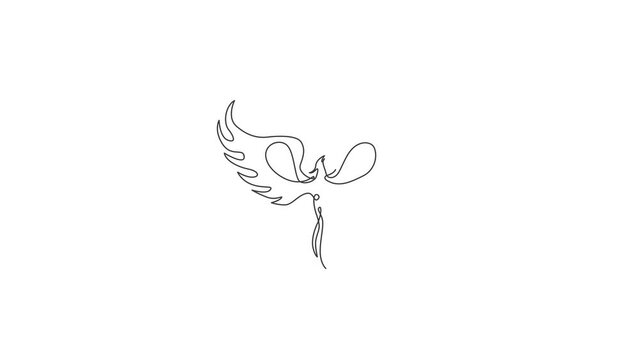 Animation of one single line drawing of luxury phoenix bird for company logo identity. Business corporation icon concept from animal shape. Continuous line self draw animated. Full length motion.