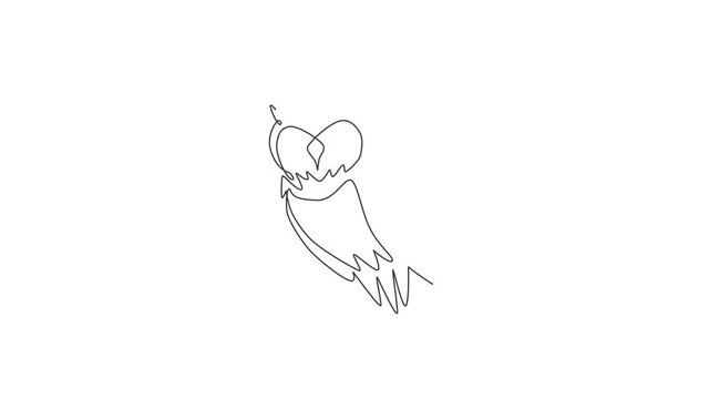 Animation of one line drawing of elegant owl bird for company logo identity. Symbol of education, wisdom, wise, school, smart, knowledge concept. Continuous line self draw animated. Full length motion