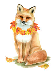 Red fox with wreath of autumn leaves isolated on white background for posters, prints, textiles and more. Hello Autumn, Oktoberfest. Watercolor illustration