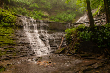 Foggy Scene of Waterfall in the Green Forest