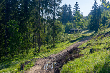 Pedestrian path in Slovakia to tripoint of Slovak, Czech Republic, and Poland. Road to border of Slovakia, Czech Republic, and Poland.