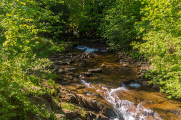 Obraz premium Czarna Wiselka creek. Source creek of the Vistula River.