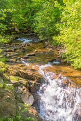 Czarna Wiselka creek between trees. Source creek of the Vistula River.