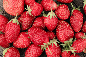 Heap of strawberries on natural wooden background. New fresh harvest, summer, summertime, garden concept. Organic gresh natural diet eco friendly food. 