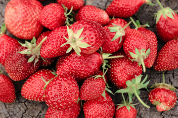 Heap of strawberries on natural wooden background. New fresh harvest, summer, summertime, garden concept. Organic gresh natural diet eco friendly food. 