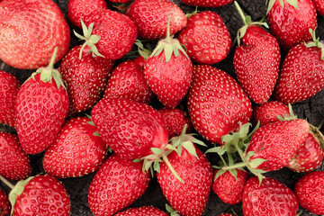 Heap of strawberries on natural wooden background. New fresh harvest, summer, summertime, garden concept. Organic gresh natural diet eco friendly food. 