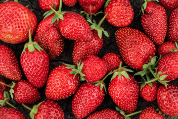 Heap of strawberries on natural wooden background. New fresh harvest, summer, summertime, garden concept. Organic gresh natural diet eco friendly food. 