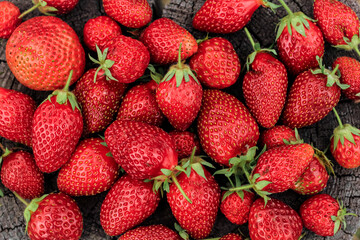 Heap of strawberries on natural wooden background. New fresh harvest, summer, summertime, garden concept. Organic gresh natural diet eco friendly food. 