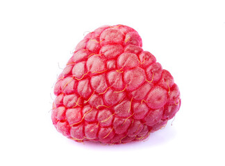 Single raspberry macro close up isolated on white background