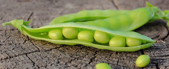 Fresh pods of sweet green peas as natural food summer harvest banner. Healthy eating, lifestyle.	