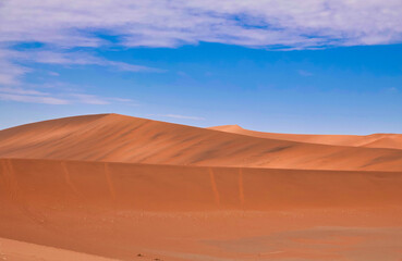 The red desert, dead trees, and tourists hiking in the sand dunes.