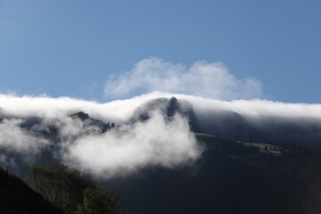 Foggy mountain landscape with fir forest. artvin