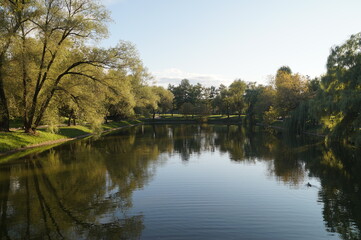 reflection of trees in the water