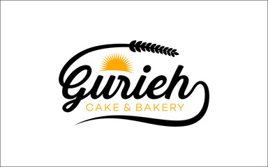 Illustration graphic vector of fast cash money for finance professional business logo design template-05