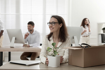 New coworker with plant at workplace in office