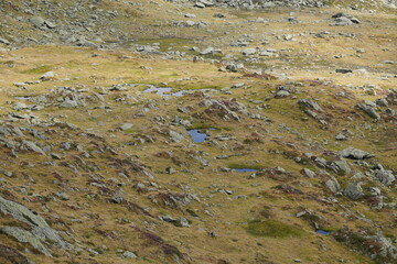 Wanderung Gr. Beil in der Wildschönau