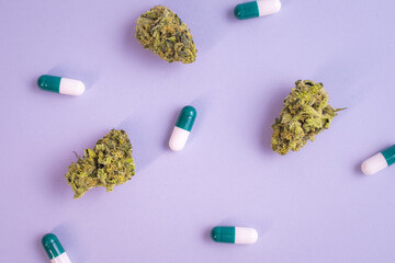CBD oil, capsules and hemp buds on purple background. Organic and natural hemp-based cosmetic and...