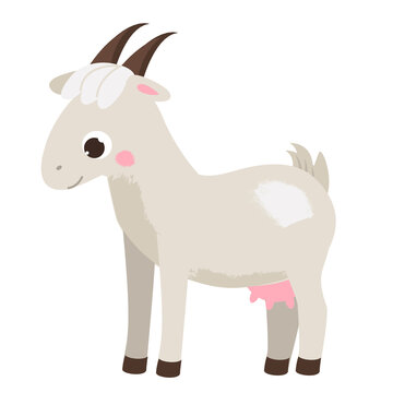 Cartoon goat female. Cute farm animal character. vector clip art