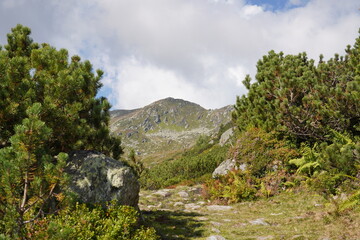 Wanderung Gr. Beil in der Wildschönau