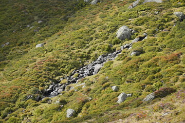 Wanderung Gr. Beil in der Wildschönau