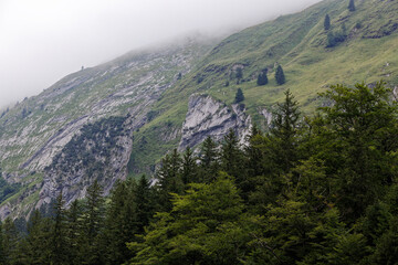 swiss mountain range in spring with fir forest and high fog on the mountain tops, during the day without people