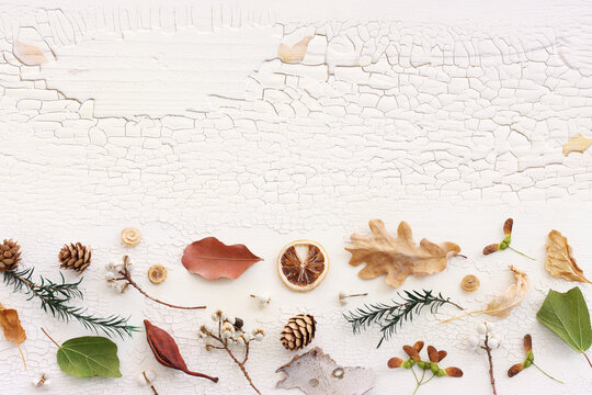 Top view image of autumn forest natural composition over wooden white background .Flat lay. Banner