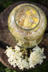 home made elderflower syrup with lemon in the glass