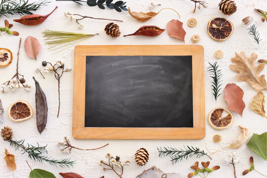 Top view image of autumn forest natural composition over wooden white background and empty blackboard for copy space .Flat lay. Banner