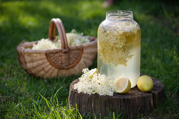 home made elderflower syrup with lemon in the glass