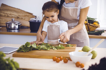 Happy woman and her daughter making healthy vegan salad and snacks for family feasting. Christmas, New year, Thanksgiving, Anniversary, Mothers Day. Healthy meal cooking concept
