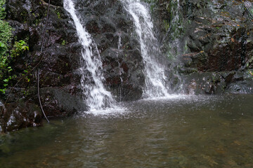 Two streams of the waterfall