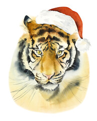 Siberian Tigers in a Christms hat. Watercolor hand drawn illustration	
