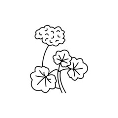 Geranium olor line icon. Essential oils. Pictogram for web page, mobile app, promo.