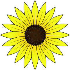 Fototapeta premium Yellow Sunflower flower vector, Beautiful Sunflower, abstract sunflower design
