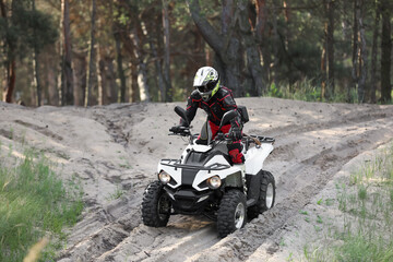 Man driving modern quad bike on sandy road near forest. Extreme sport © New Africa