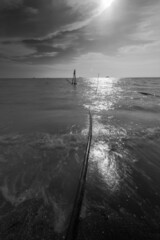 sand beach during a summer day in black and white