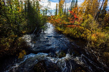 Obraz premium Autumn landscape in Yllas Pallastunturi National Park, Lapland, Finland