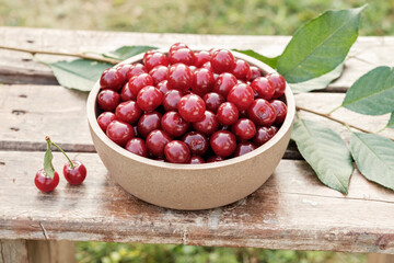Bowl with freshly picked cherries on a wooden bench in the garden